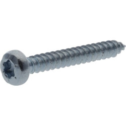 Savisriegis varžtas torx 2,9x22 mm 7981C2922TX100