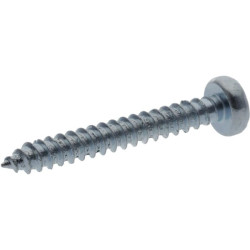 Savisriegis varžtas torx 2,9x22 mm 7981C2922TX100