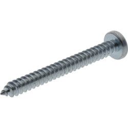 Savisriegis sraigtas torx 4,8x45 mm 7981C4845TX100