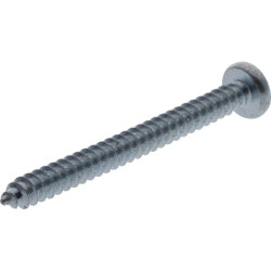 Savisriegis sraigtas torx 4,2x50 mm 7981C4250TX100