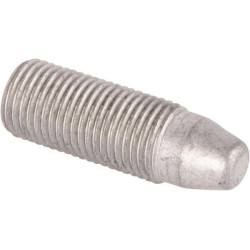 Varžtas M10X1 203990502N