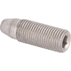 Varžtas M10X1 203990502N