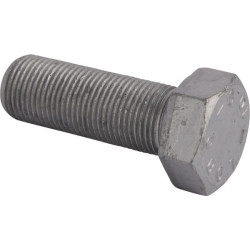 Varžtas R.10.9 15984337N