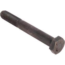 Varžtas R.10.9 15541531N