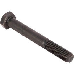 Varžtas R.10.9 15541531N