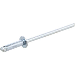 Kniedė plienas-plienas 3x10 BN310SS