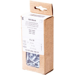 Kniedė plienas-plienas 5x10 BN510SS