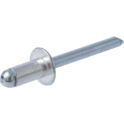 Kniedė plienas-plienas 5x16 BN516SS