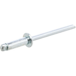 Kniedė plienas-plienas 4x12 BN412SS