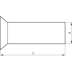 Plieninė kniedė su įleidžiama galvute, 5,0 x 24 mm 3750502412