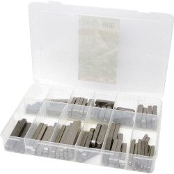 Plunksninių raktų asortimento dėžutė SE6885A