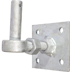 Reguliuojamas kabliukas ant plokštelės Ø19x65 100x100 WAE81832305