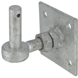 Reguliuojamas kabliukas ant plokštelės Ø19x65 100x100 WAE81832305