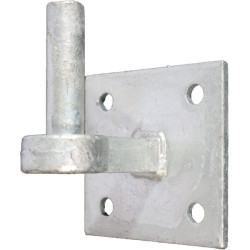 Kabliukas ant plokštelės Ø19x65 100x100 WAE81831305