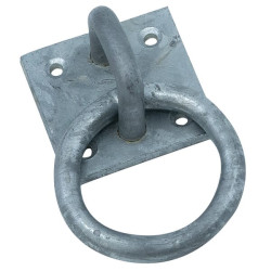 Žiedas ant plokštelės 55 mm WAE32308