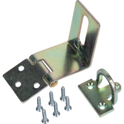 Spynos skląstis (1 vnt. pakuotėje) 0960532500301