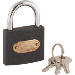 Ketaus lietos patentuotos spynos, 50 mm 1540001503