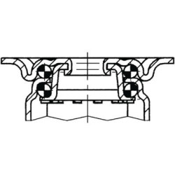 Pasukamas ratukas, guminis ratas: Ø50x19mm, su stabdžiu, nerūdijančio plieno plokštės tvirtinimas: 60x60mm. Apkrova: 50kg, Tente