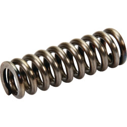 Pavasaris Baltarusija 501702148AN