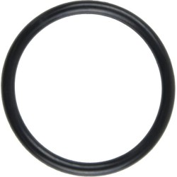 Case - IH Farmall 65A 70925919N O žiedas