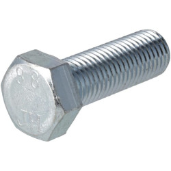 Varžtas M20 x 60 mm, 8,8 (2) KR9332060P02B