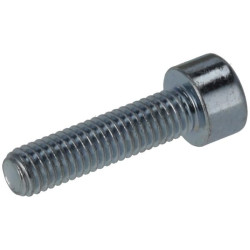 Lizdinis varžtas M5 x 20 mm, 8,8 (10) KR912520P10B