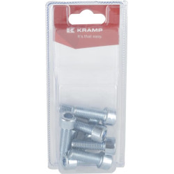 Lizdinis varžtas M10 x 30 mm, 8,8 (10) KR9121030P10B