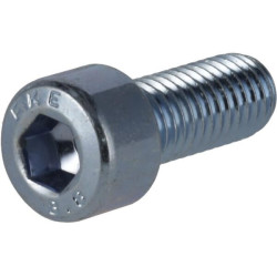 Lizdinis varžtas M10 x 30 mm, 8,8 (10) KR9121030P10B