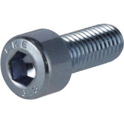 Lizdinis varžtas M8 x 20 mm, 8,8 (10) KR912820P10B