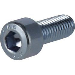 Lizdinis varžtas M10 x 25 mm, 8,8 (10) KR9121025P10B