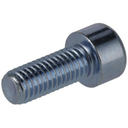 Lizdinis varžtas M10 x 25 mm, 8,8 (10) KR9121025P10B