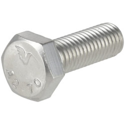 Varžtas nerūdijančio plieno M10 x 30 mm, A2 (6) KR9331030RVSP06B