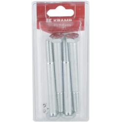 Varžtas M10 x 100 mm, 8,8 (4) KR93110100P04B