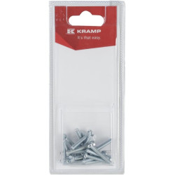 Varžtas su įpjova M4 x 25 mm (20) KR84425P20B