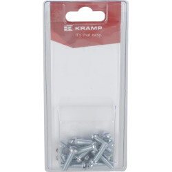 Varžtas su išpjova M5 x 20 mm (20) KR84520P20B