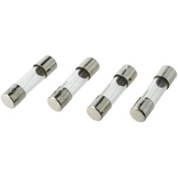 Saugiklis 2A x 20 mm, stiklinis (4) KRSI23504P04B