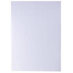 Kainoraštis 47x21 mm ant A4 formato VPM20244