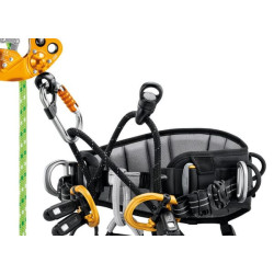 „Sequoia“ sėdynės diržai, 0 dydis, C069BA00