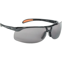 Apsauginiai akiniai Protege juodi 1015353HS