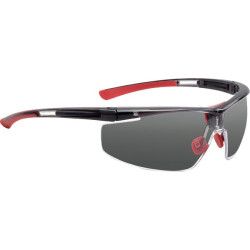 Apsauginių akinių reguliatorius 1030754HS