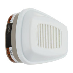 Dujų filtras, 6000 AxP3R (2P) 6098P02