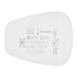 Dulkių filtras, 5000 P2R (2P) 5925P02