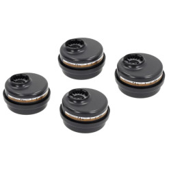 BLS 225 AXP3 NR filtras 4 vnt. BLS8011206P004