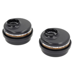 BLS 225 AXP3 NR filtras 4 vnt. BLS8011206P004