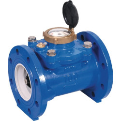 Vandens skaitiklis WST 4'' WM100F