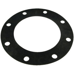 8 colių norminio flanšo tarpinė 8339800Z