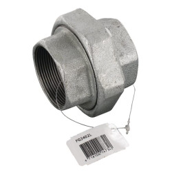 Jungtis su vidiniu sriegiu, cinkuota, 2" FG3402L