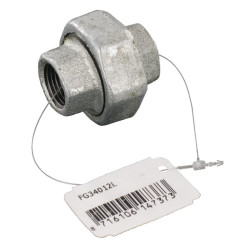 Jungtis su vidiniu sriegiu, cinkuota 1/2" FG34012L