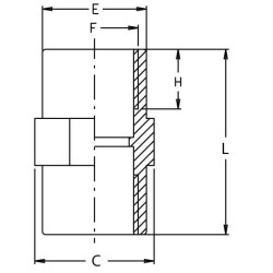 Srieginė jungtis 2" F/F 8054401