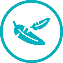 Tekstilinė žarna Liano™ Xtreme 13 mm (1/2"), 30 m komplektas GA18477